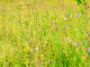 Hotarul_urmasilor_2014_001