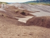 Hotarul_urmasilor_2014_002