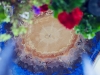 Hotarul_urmasilor_2014_019