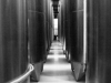 Hotarul_urmasilor_2014_026