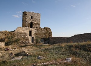 IMG_3972