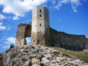 P1060120